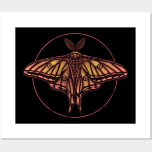 Spanish Moon Moth Posters and Art